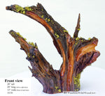 . Wood, tabletop sculpture, floor sculpture, rustic, primitive, conjoined roots, asymmetric, live wood, 21 x 21 x 13" – by Robert C Paulson Jr