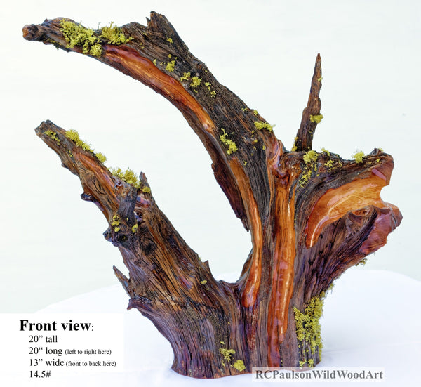 . Wood, tabletop sculpture, floor sculpture, rustic, primitive, conjoined roots, asymmetric, live wood, 21 x 21 x 13" – by Robert C Paulson Jr