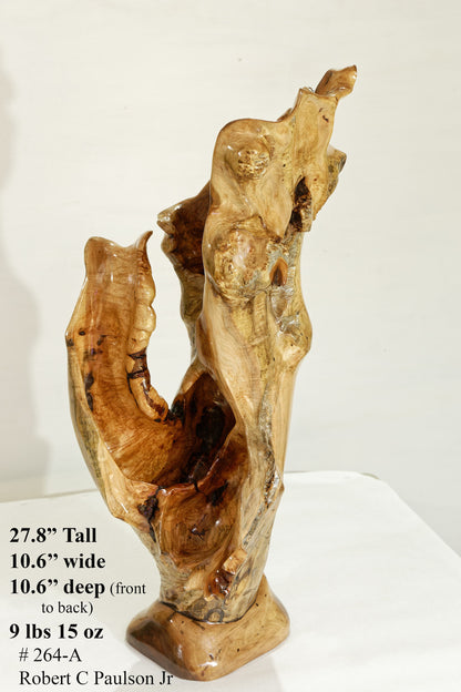 Exotic decorative driftwood vase & floor tabletop sculpture, 28" tall x 11" wide, wooden vase, wood, unique, free form sculpture, vase 264-A