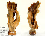 Exotic decorative driftwood vase & floor tabletop sculpture, 28" tall x 11" wide, wooden vase, wood, unique, free form sculpture, vase 264-A