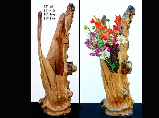 Extra large wooden flower vase, floor sculpture, rustic, asymmetrical, golden brown, open sides, driftwood, 32 x 11", 273-A