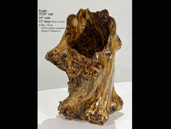 wood basket planter container exotic knobby golden brown black, unique decorative wood, rustic wood vase sculpture, asymmetrical, 19” 309-A