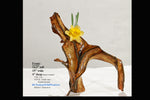 Irregular wooden sculptured vase with yellow daffodil flower, on a white platform with text overlay.  