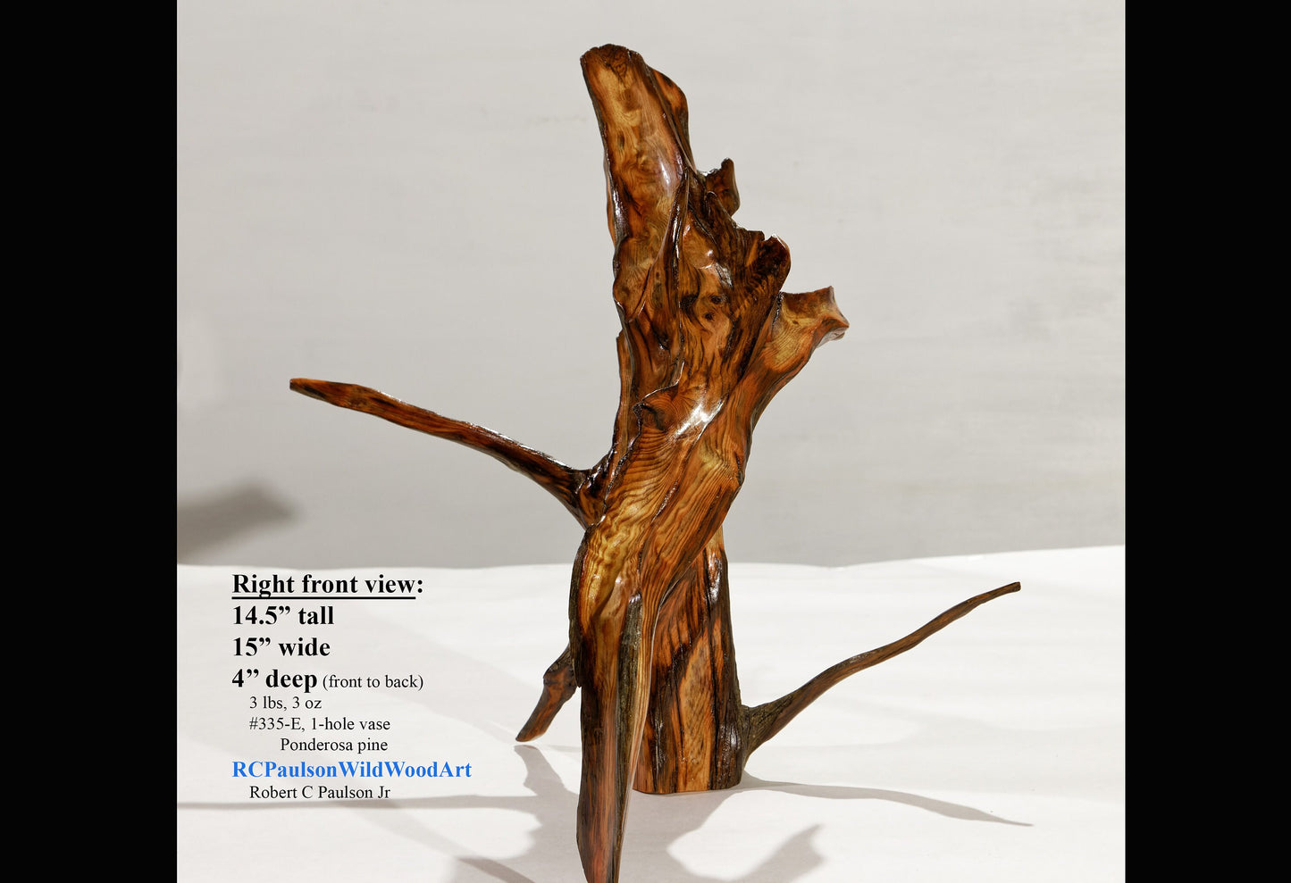 Rustic exotic branching wood bud vase sculpture, sleek, brown gold red, natural pine colors, one-of-a-kind,  14.5 tall x 15” wide x 4’’ wide, 3# , Robert C Paulson Jr, 335-E