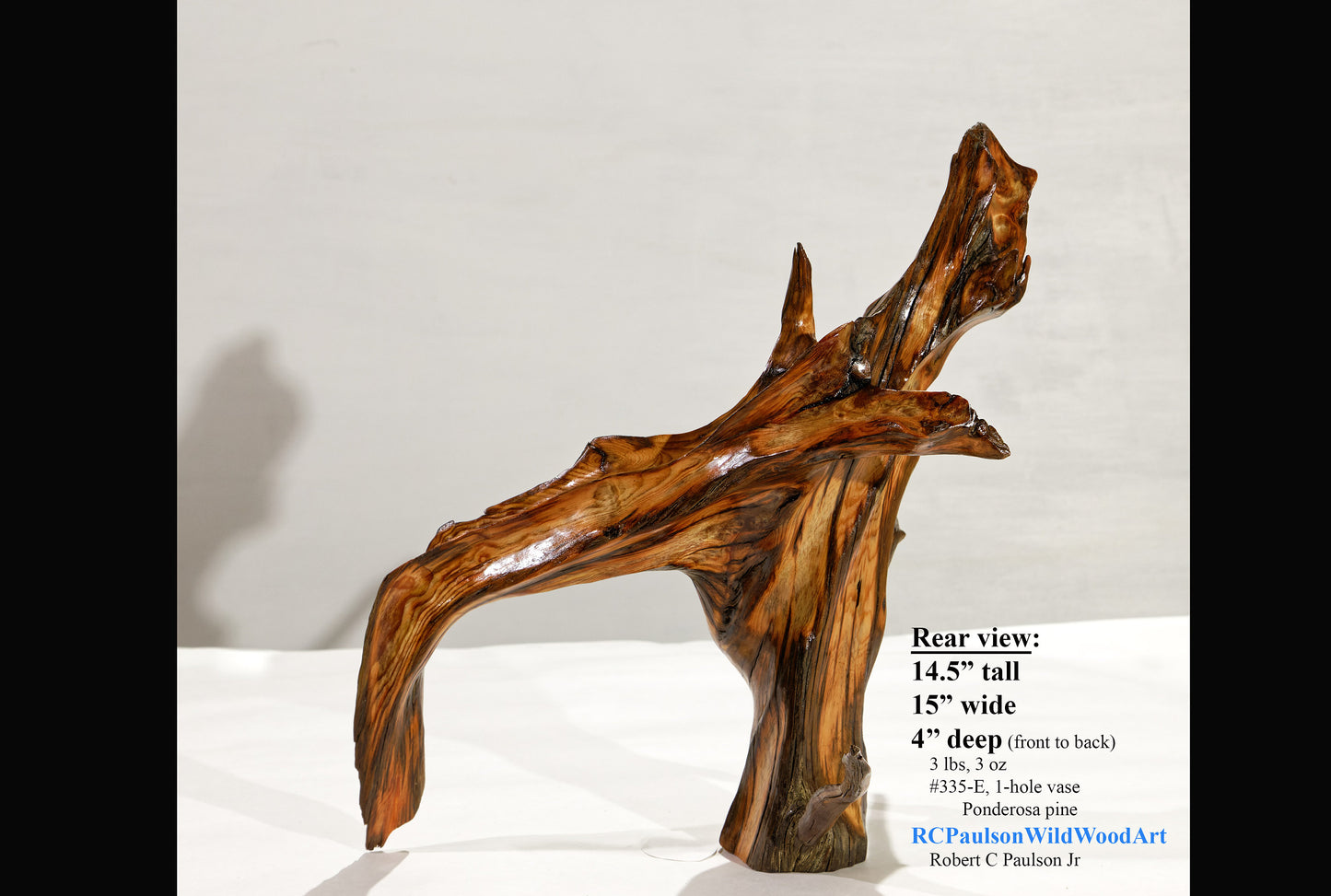 Rustic exotic branching wood bud vase sculpture, sleek, brown gold red, natural pine colors, one-of-a-kind,  14.5 tall x 15” wide x 4’’ wide, 3# , Robert C Paulson Jr, 335-E