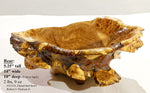 exotic one-of-a-kind live edge burl wood bowl sculpture, rustic yet refined, golden brown, bark, 5”x14x10, strong grain burl pattern, 312-O