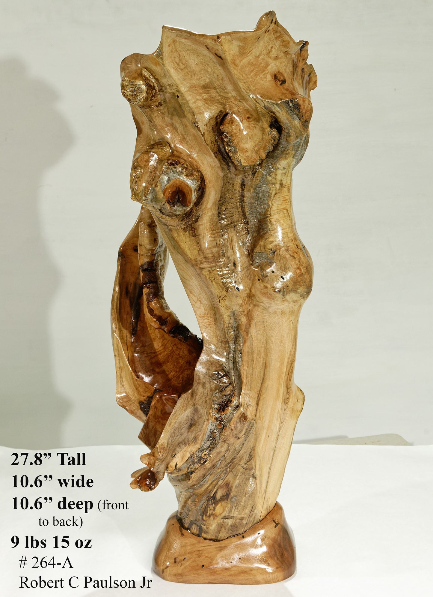 Exotic decorative driftwood vase & floor tabletop sculpture, 28" tall x 11" wide, wooden vase, wood, unique, free form sculpture, vase 264-A