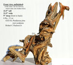 Rustic tabletop wood sculpture décor, conjoined roots, 22 x 21 x 9, decorative mantel sculpture, Ponderosa, lodge cabin décor, brown, 243-H