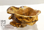 exotic one-of-a-kind live edge burl wood bowl sculpture, rustic yet refined, golden brown, bark, 5”x14x10, strong grain burl pattern, 312-O