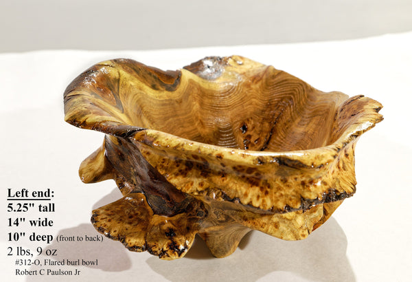 exotic one-of-a-kind live edge burl wood bowl sculpture, rustic yet refined, golden brown, bark, 5”x14x10, strong grain burl pattern, 312-O