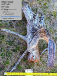 Wooden log with measurement details on a natural background