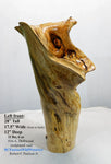 floor vase elaborate decorative driftwood, tabletop sculpture, rustic wood vase, wood, exotic, unique, 17.5" x 12 x 28 tall, 11.4 lb, 416-A