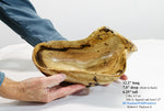 . 360-A, Burl bowl, wood sculpture, rich grain, brown yellow, tan black, 12" x 7.5" x 6.2'' tall, 2 lbs., 4.5 oz, swirly figuring, 100% unique