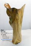 floor vase elaborate decorative driftwood, tabletop sculpture, rustic wood vase, wood, exotic, unique, 17.5" x 12 x 28 tall, 11.4 lb, 416-A