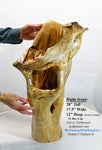 floor vase elaborate decorative driftwood, tabletop sculpture, rustic wood vase, wood, exotic, unique, 17.5" x 12 x 28 tall, 11.4 lb, 416-A