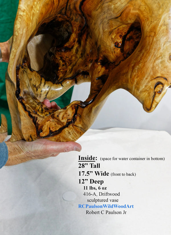 floor vase elaborate decorative driftwood, tabletop sculpture, rustic wood vase, wood, exotic, unique, 17.5" x 12 x 28 tall, 11.4 lb, 416-A