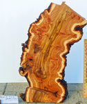 .. wood platter, wall hanging, tabletop sculpture, exotic burl, live edge bark, 2.5" tall x 24.5 long x 12.5 wide, 4 lbs, Wabi Sabi, 312-Y