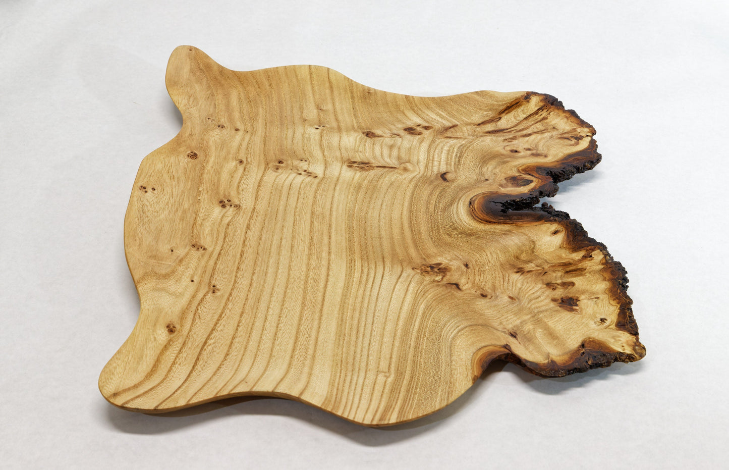 Irregular elm wood platter, wall hanging, tabletop sculpture burl, live edge bark, 1.75 tall x 17.75 long x 15 inches wide, Wabi Sabi 312-ZA