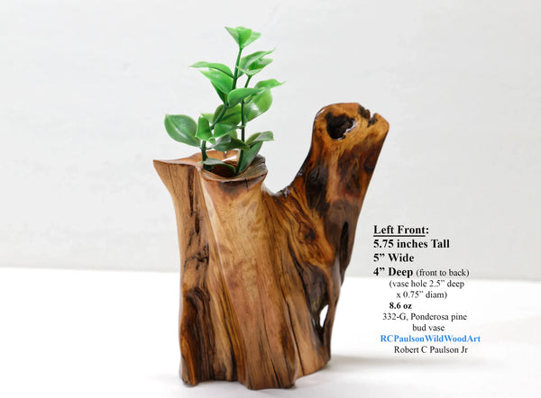 wood bud vase, 2-arm, sculpture golden brown & orange, rich grain patterns, 5.75 inches tall x 5" x 4", 100% unique, Ponderosa pine, 332-G