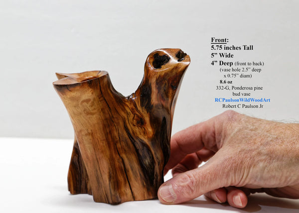 wood bud vase, 2-arm, sculpture golden brown & orange, rich grain patterns, 5.75 inches tall x 5" x 4", 100% unique, Ponderosa pine, 332-G