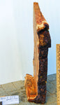 .. wood platter, wall hanging, tabletop sculpture, exotic burl, live edge bark, 2.5" tall x 24.5 long x 12.5 wide, 4 lbs, Wabi Sabi, 312-Y