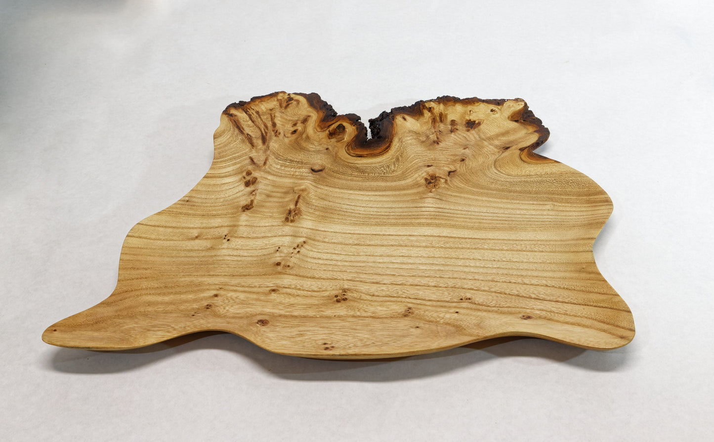 Irregular elm wood platter, wall hanging, tabletop sculpture burl, live edge bark, 1.75 tall x 17.75 long x 15 inches wide, Wabi Sabi 312-ZA