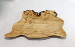 .. Irregular elm wood platter, wall hanging, tabletop sculpture burl, live edge bark, 1.75 tall x 17.75 long x 15 inches wide, Wabi Sabi 312-ZA