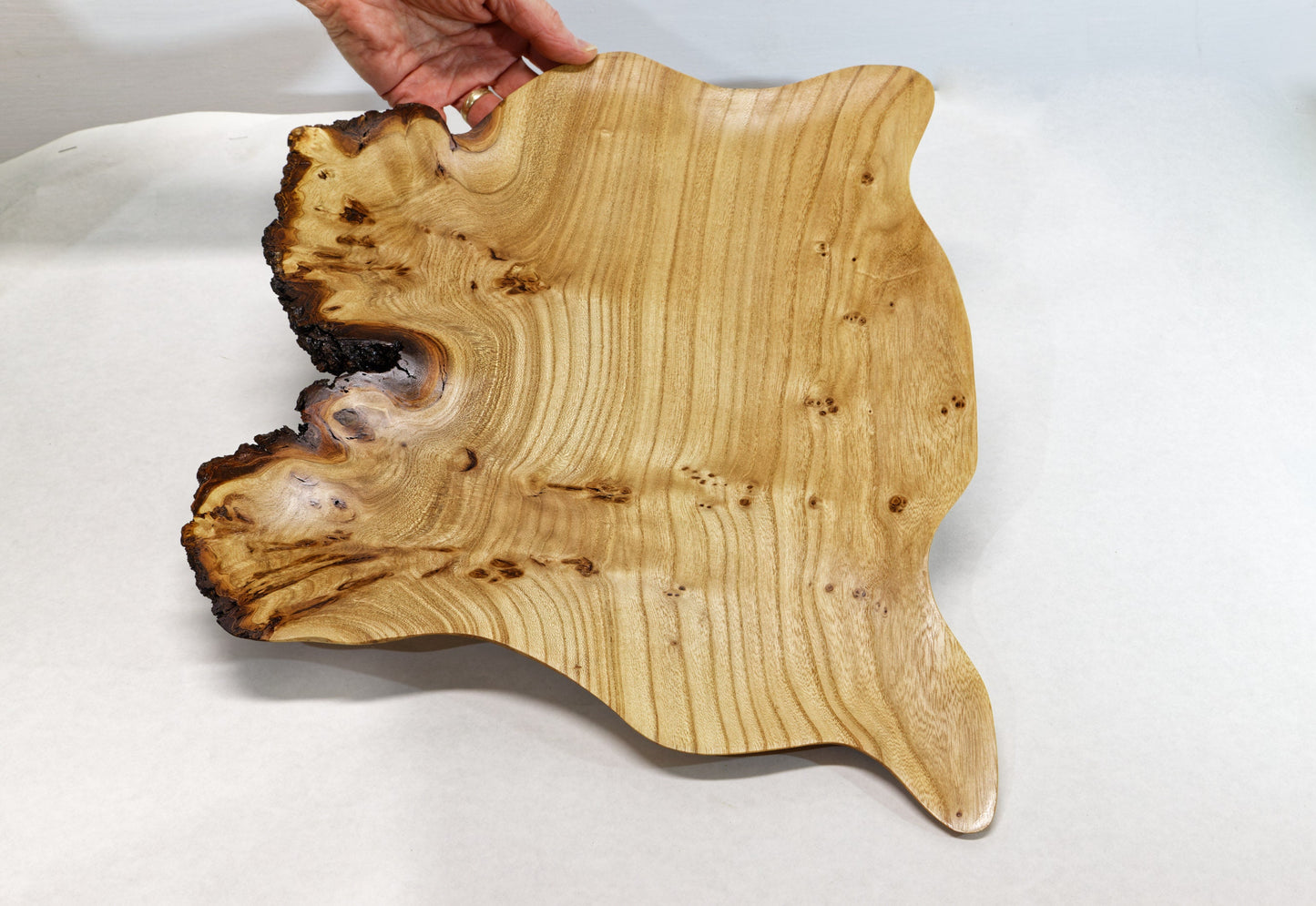 Irregular elm wood platter, wall hanging, tabletop sculpture burl, live edge bark, 1.75 tall x 17.75 long x 15 inches wide, Wabi Sabi 312-ZA