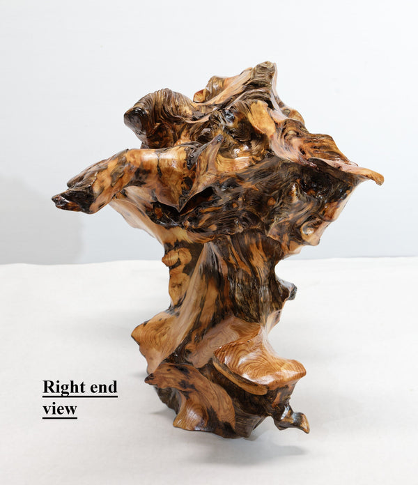 unique wood tabletop sculpture, one-of-a-kind, freeform sculpture, 13.25 inches tall x 21 x 12, 9 lbs, 11 oz, upcycled, Wabi Sabi, 330-A