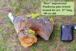 Natural rustic asymmetric wood bowl sculpture, old growth Ponderosa pine, live edge bark, 7" tall, 11.5 long, 6.75 wide, decorative, 299-a