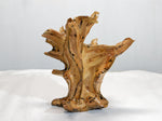 wood sculpture, natural, tabletop sculpture, Sitka spruce roots, 13 in x 8 x 14.5, wabi sabi, asymmetric, exotic, one-of-a-kind, 424-A