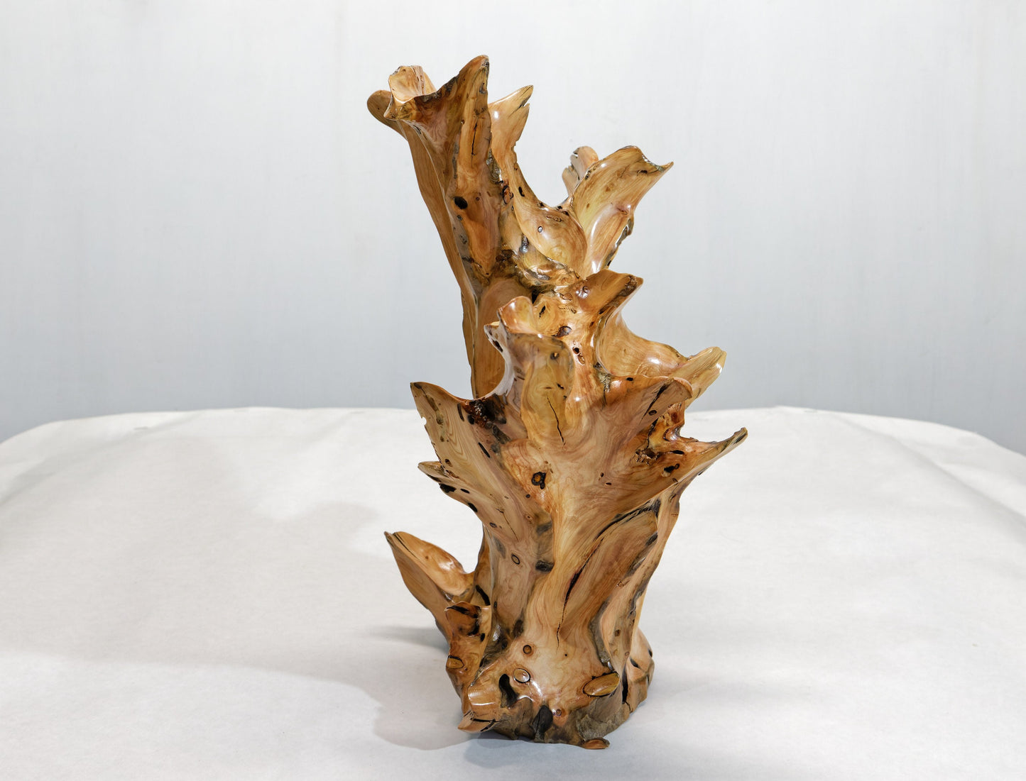 wood sculpture, natural, tabletop sculpture, Sitka spruce roots, 13 in x 8 x 14.5, wabi sabi, asymmetric, exotic, one-of-a-kind, 424-A
