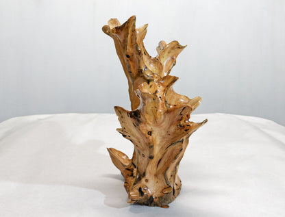 wood sculpture, natural, tabletop sculpture, Sitka spruce roots, 13 in x 8 x 14.5, wabi sabi, asymmetric, exotic, one-of-a-kind, 424-A