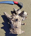 wood sculpture, natural, tabletop sculpture, Sitka spruce roots, 13 in x 8 x 14.5, wabi sabi, asymmetric, exotic, one-of-a-kind, 424-A