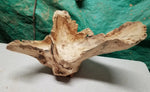 Natural wood bowl, 12 inch x 8 x 8, asymmetric, bizarre unique wood bowl, one-of-a-kind sculptured bowl, decorative, useful, 267-B,