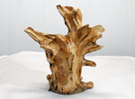 wood sculpture, natural, tabletop sculpture, Sitka spruce roots, 13 in x 8 x 14.5, wabi sabi, asymmetric, exotic, one-of-a-kind, 424-A