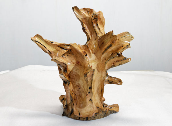 wood sculpture, natural, tabletop sculpture, Sitka spruce roots, 13 in x 8 x 14.5, wabi sabi, asymmetric, exotic, one-of-a-kind, 424-A