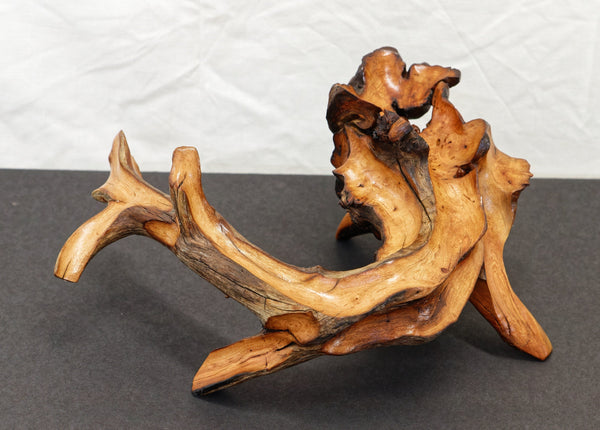 Manzanita wood bowl, twisted root bowl, irregular wooden bowl , 12.2 inches long x 8.5 wide, 5.5 tall, one of a kind, asymmetric, 455-A