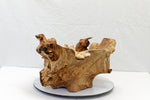 . 312-I elm burl bowl , one of a kind, golden brown,  22” long, 18” wide, 11” tall