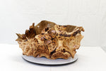 . 312-I elm burl bowl , one of a kind, golden brown,  22” long, 18” wide, 11” tall