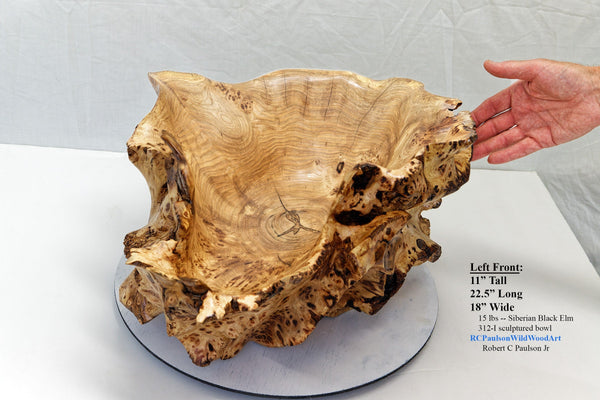 . 312-I elm burl bowl , one of a kind, golden brown,  22” long, 18” wide, 11” tall