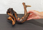 Manzanita wood bowl, twisted root bowl, irregular wooden bowl , 12.2 inches long x 8.5 wide, 5.5 tall, one of a kind, asymmetric, 455-A