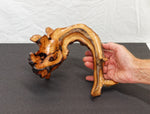 Manzanita wood bowl, twisted root bowl, irregular wooden bowl , 12.2 inches long x 8.5 wide, 5.5 tall, one of a kind, asymmetric, 455-A