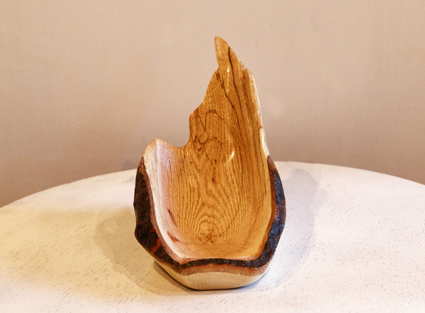 rustic red oak wood bowl, live edge, beautiful grain, natural reddish orange, brown, 11" long x 4.75 tall x 5.5, 0.95 lb, Wabi Sabi, 568-Z3