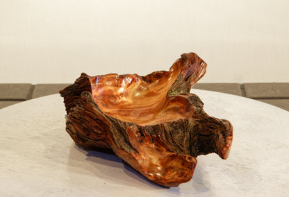 Wood catchall bowl sculpture, unique, natural color, rustic, live edge refined, 10.2", Wabi Sabi, one of a kind, asymmetrical, 499-D