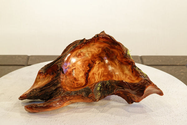 Wood catchall bowl sculpture, unique, natural color, rustic, live edge refined, 10.2", Wabi Sabi, one of a kind, asymmetrical, 499-D