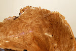 . 469-ZD1 natural wood bowl sculpture, Maple 17", Wabi Sabi live edge, prickly burls, no bark, irregular exotic shape, rustic yet refined