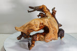 rustic catchall branching twisted wood root bowl sculpture, brown gold maroon, Wabi Sabi Ponderosa pine, unique imaginative 11.2 inch, 489-A