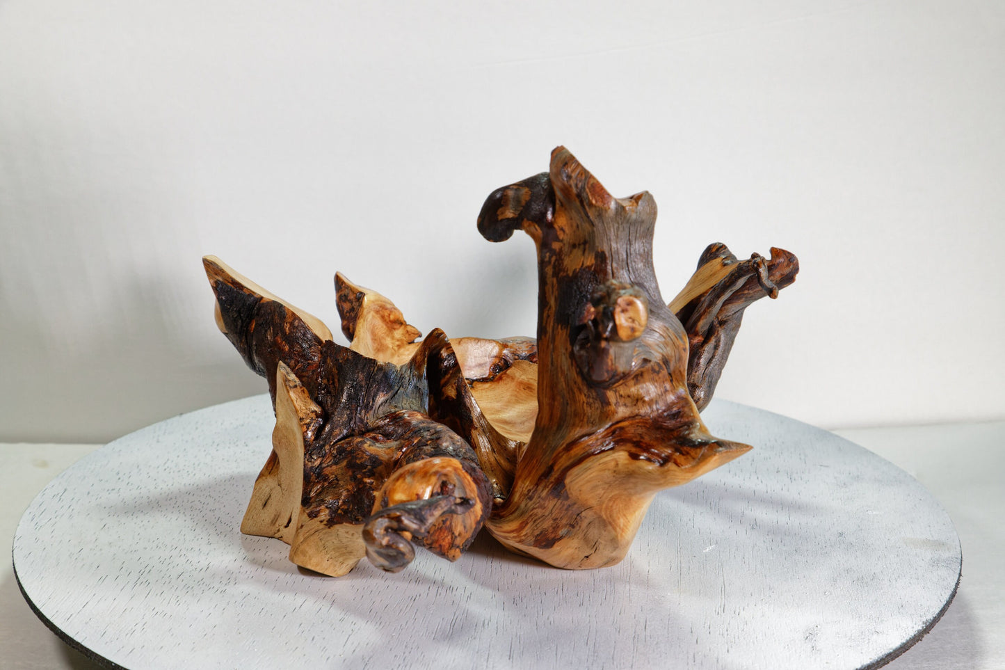rustic catchall branching twisted wood root bowl sculpture, brown gold maroon, Wabi Sabi Ponderosa pine, unique imaginative 11.2 inch, 489-A