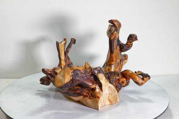 rustic catchall branching twisted wood root bowl sculpture, brown gold maroon, Wabi Sabi Ponderosa pine, unique imaginative 11.2 inch, 489-A